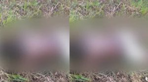 Reprodução/TV Pajuçara