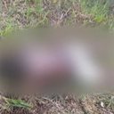 Reprodução/TV Pajuçara