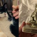 Reprodução e Divulgação/Golden Beast