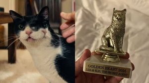 Reprodução e Divulgação/Golden Beast