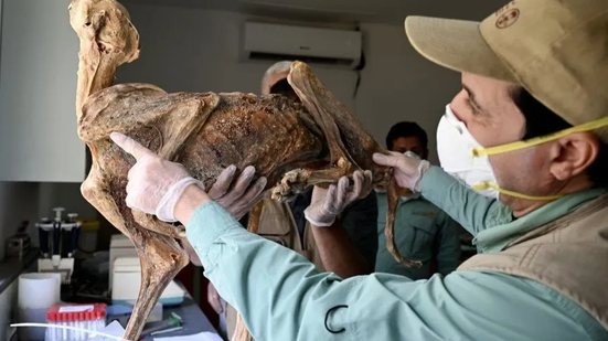 Communications Earth and Environment/Ahamed Boug/Divulgação