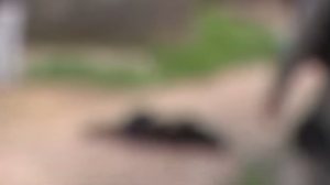 Reprodução/TV Pajuçara