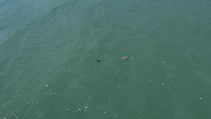 Imagens aéreas mostram momento em que corpo de adolescente é encontrado no mar da Jatiúca - Reprodução/DEA