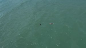 Imagens aéreas mostram momento em que corpo de adolescente é encontrado no mar da Jatiúca - Reprodução/DEA