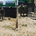 Jacaré é resgatado após ser encontrado em canteiro de obras nos Flexais - Reprodução / Redes sociais