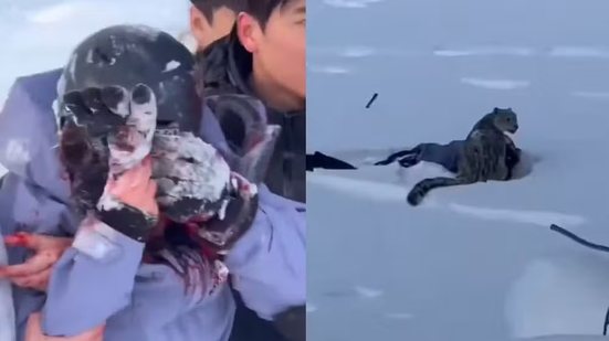 Imagem Vídeo: esquiadora é atacada por leopardo-das-neves ao tentar tirar foto com o animal em parque