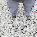 Foto: Reprodução/Redes Sociais