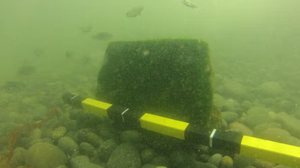 Foto: Ministério da Cultura do Peru