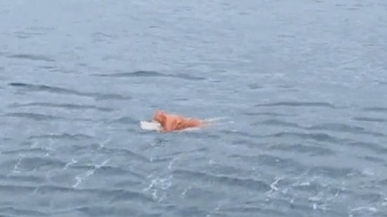 Pescador sobrevive a naufrágio e é resgatado agarrado a porta de geladeira - Reprodução / PMSC