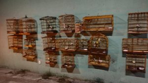 Apreensões da PM ocorreram durante fiscalizações de rotina - Foto: Ascom PM