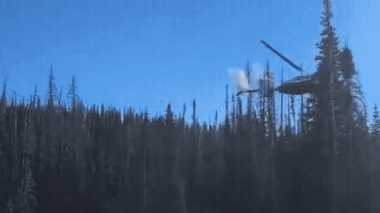 Foto: Reprodução/Redes Sociais