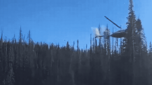 Foto: Reprodução/Redes Sociais