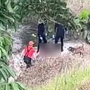 Foto: Reprodução/Guarda Municipal de Branquinha