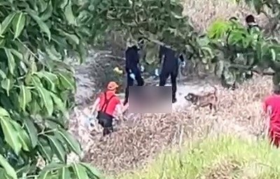 Foto: Reprodução/Guarda Municipal de Branquinha