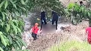 Foto: Reprodução/Guarda Municipal de Branquinha