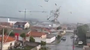 Reprodução X @santacatarinanofeed