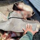 Divulgação / Polícia Civil do Espírito Santo