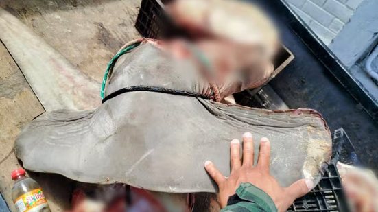 Divulgação / Polícia Civil do Espírito Santo