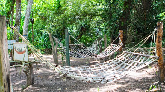 Alexandre Vieira/Ascom Alurb