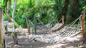 Alexandre Vieira/Ascom Alurb