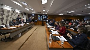 © Saulo Cruz/Agência Senado