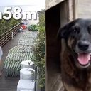 Divulgação/Polícia Civil e Reprodução/Redes sociais