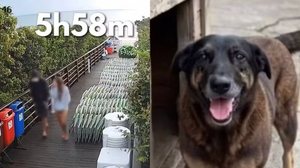 Reprodução/Polícia Civil