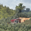 Vítima foi localizada em uma ribanceira próxima a uma plantação de eucalipto - Ascom DEA