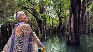 Imagem Floresta Encantada, dádiva de Alter do Chão