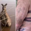 Foto: Reprodução/Redes Sociais