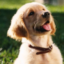 Foto: Reprodução/Freepik