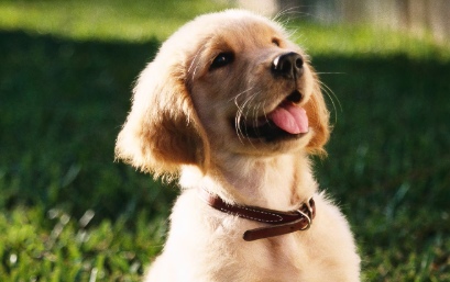 Foto: Reprodução/Freepik