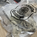 Polícia Federal apreendeu espécies de corais que estavam sendo transportados por turistas - Foto: PF