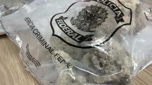 Polícia Federal apreendeu espécies de corais que estavam sendo transportados por turistas - Foto: PF