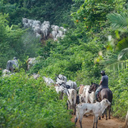 Em dezembro do ano passado, indicador recuou 0,2% - Foto: Agência Brasil