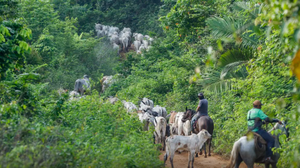 Em dezembro do ano passado, indicador recuou 0,2% - Foto: Agência Brasil