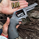 Policiais civis encontraram na casa um revólver calibre 38 e cinco munições - Foto: Cortesia/PCAL