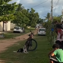 Reprodução/TV do Cajé