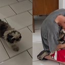 Foto:  Reprodução/PCRS