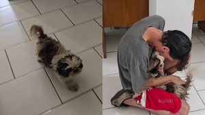 Foto:  Reprodução/PCRS