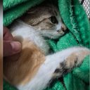 Foto: Reprodução/PC-PR