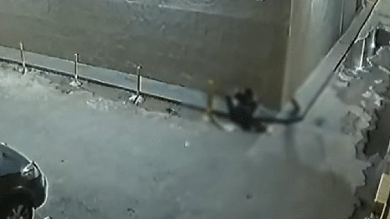 Homem escala prédio e invade apartamento de advogada para assaltá-la - PC-GO