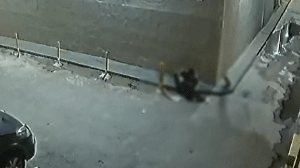 Homem escala prédio e invade apartamento de advogada para assaltá-la - PC-GO