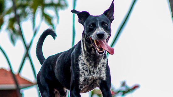 Arquivo pessoal - Juliana Muniz