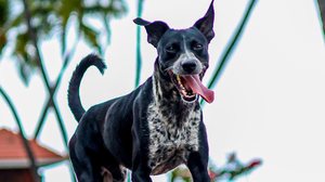 Arquivo pessoal - Juliana Muniz