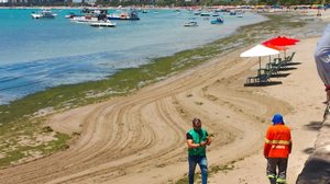Fiscais do Iplam realizam vistoria técnica na orla da Pajuçara. - Foto: Cortesia