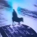 Foto: Reprodução/X