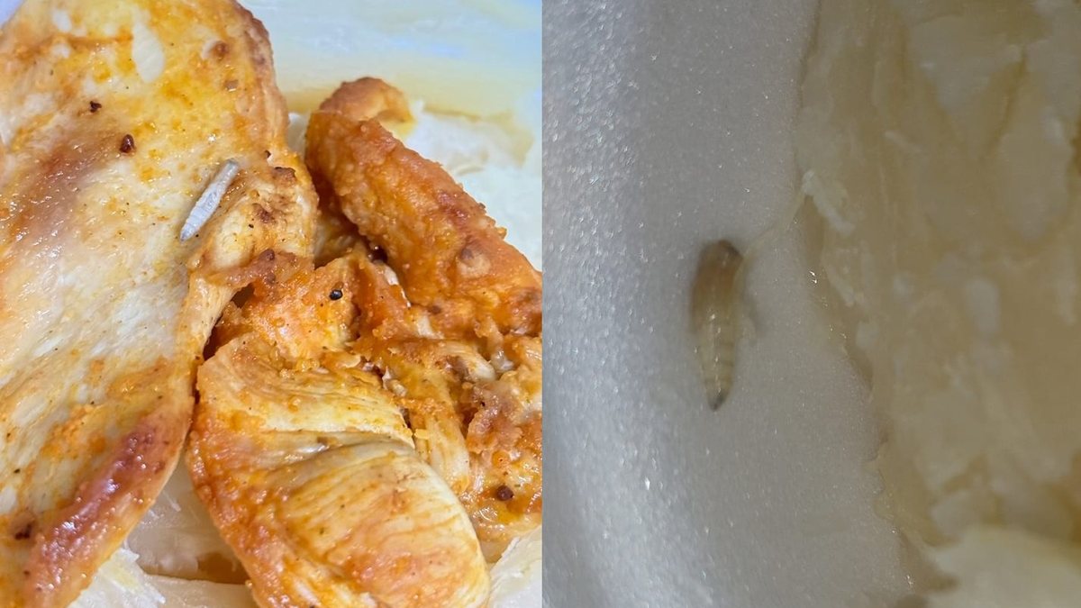 Paciente encontra larvas em marmita servida na UPA do Benedito Bentes