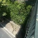 Foto: Reprodução / PMSP