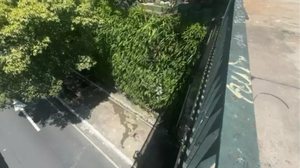 Foto: Reprodução / PMSP